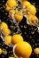 3d illustration seamless pattern of falling lemons and oranges in water