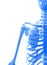 3D illustration of shiny blue skeleton system.