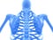 3D illustration of shiny blue skeleton system.