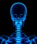 3D illustration of shiny blue skeleton system.