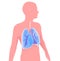 3d illustration of the silhouette of a man showing the lungs and bronchi anatomically.