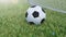 3D illustration Soccer ball flew into the goal. Soccer ball bends the net, against the background of grass. Soccer ball