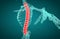 3D illustration of Spine, medical concept