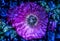 3D-Illustration of spring flowers with a high energy kirlian field glowing in different colors