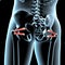 3d illustration of the superior and inferior gemellus muscles position on xray body