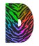 3D illustration Tiger black rainbow print letter D, animal skin fur decorative character D, Tiger 7 colors pattern.