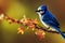 3d illustration of tiny blue jay on a branch with autumn leaves in the background Generative AI illustration