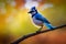 3d illustration of tiny blue jay on a branch with autumn leaves in the background Generative AI illustration