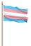 3d illustration Transgender flag