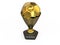 3D illustration Trophy Sport Golden