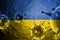 3D ILLUSTRATION VIRUS WITH Ukraine FLAG, CORONAVIRUS, Flu coronavirus floating, micro view, pandemic virus infection, asian flu