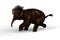 3D illustration of a Woolly Mammoth baby walking isolated on a white background