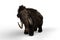 3D illustration of a Woolly Mammoth, the extinct relative of the Elephant which lived in the last ice age isolated on a white