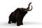 3D illustration of a Woolly Mammoth stretching and reaching up with trunk isolated on a white background
