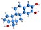 3D image of 2-hydroxyestradiol skeletal formula