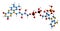 3D image of Adenosine monophosphate skeletal formula