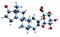 3D image of Androstanediol glucuronide skeletal formula