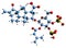 3D image of Atractyloside skeletal formula
