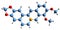 3D image of Berberine skeletal formula