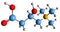 3D image of Carnitine skeletal formula