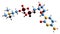 3D image of Citicoline skeletal formula