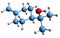 3D image of delta-terpineol skeletal formula