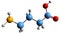 3D image of gamma-aminobutyric acid skeletal formula
