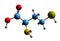 3D image of Homocysteine skeletal formula