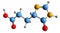 3D image of Imidazol-4-one-5-propionic acid skeletal formula