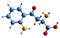 3D image of Kynurenine skeletal formula
