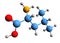 3D image of leucine skeletal formula