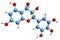3D image of Leucodelphinidin skeletal formula