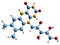 3D image of Leucoriboflavin skeletal formula