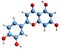 3D image of Luteolin skeletal formula