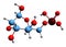 3D image of Mannose 6-phosphate skeletal formula