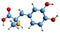 3D image of Methyldopa skeletal formula