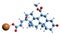 3D image of Mexrenoate potassium skeletal formula