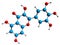 3D image of Myricetin skeletal formula