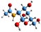 3D image of N-Acetylglucosamine skeletal formula