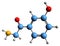 3D image of Norfenefrine skeletal formula