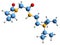 3D image of Pramiracetam skeletal formula