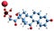 3D image of Prednisolone sodium phosphate skeletal formula