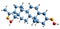 3D image of Progesterone dioxime skeletal formula