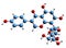 3D image of Puerarin skeletal formula