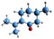 3D image of Pulegone skeletal formula