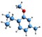 3D image of Thymol methyl ether skeletal formula