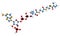 3D image of Tiglyl-CoA skeletal formula