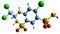 3D image of Trichlormethiazide skeletal formula