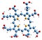 3D image of Uroporphyrinogen III skeletal formula