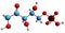 3D image of Xylulose 5-phosphate skeletal formula